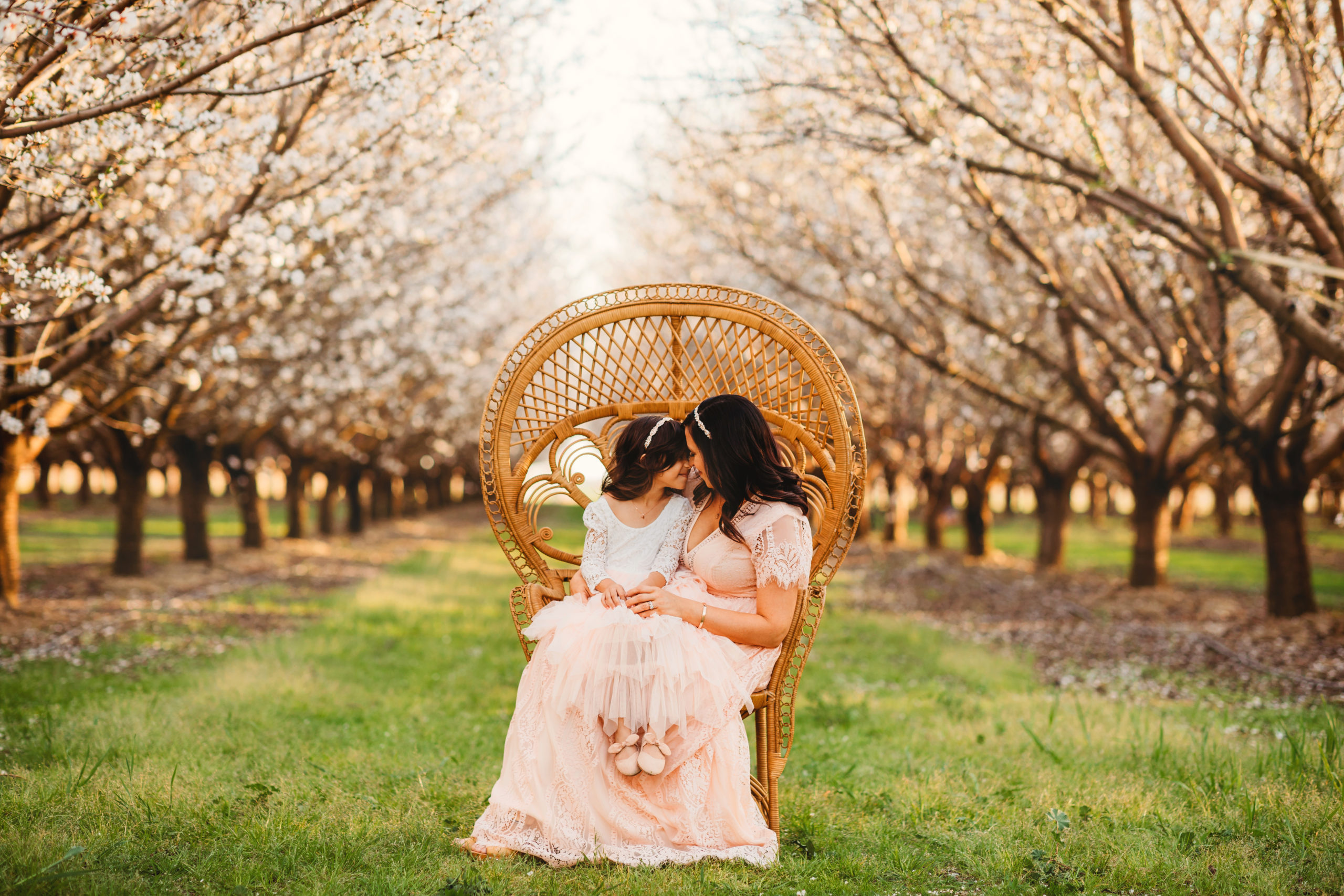 Almond Blossom Photo Sessions