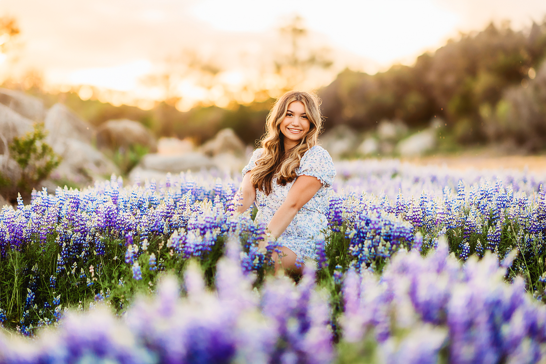 Senior Portraits in the Lupines at Folsom Lake