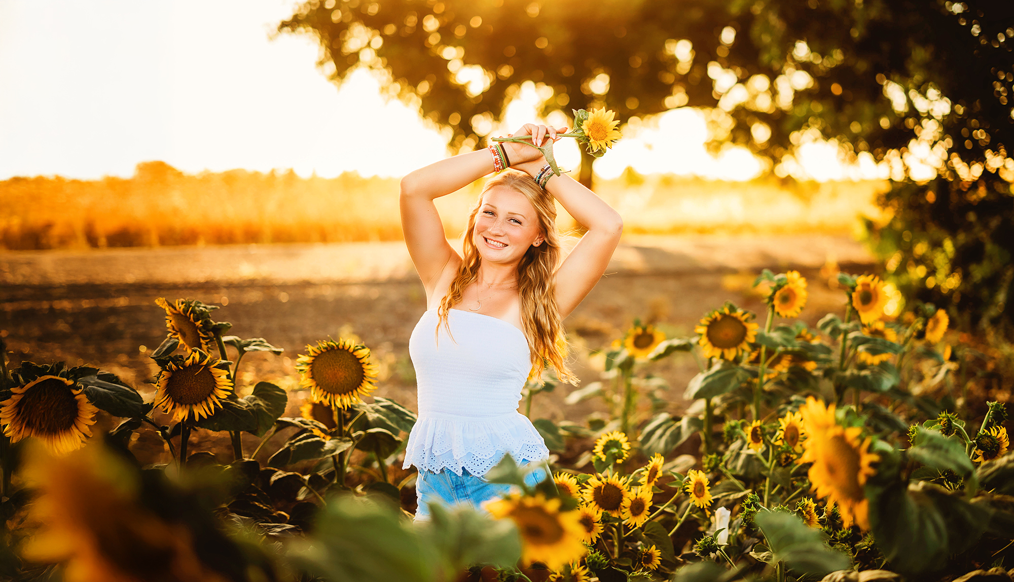 sunflower photos at golden hour