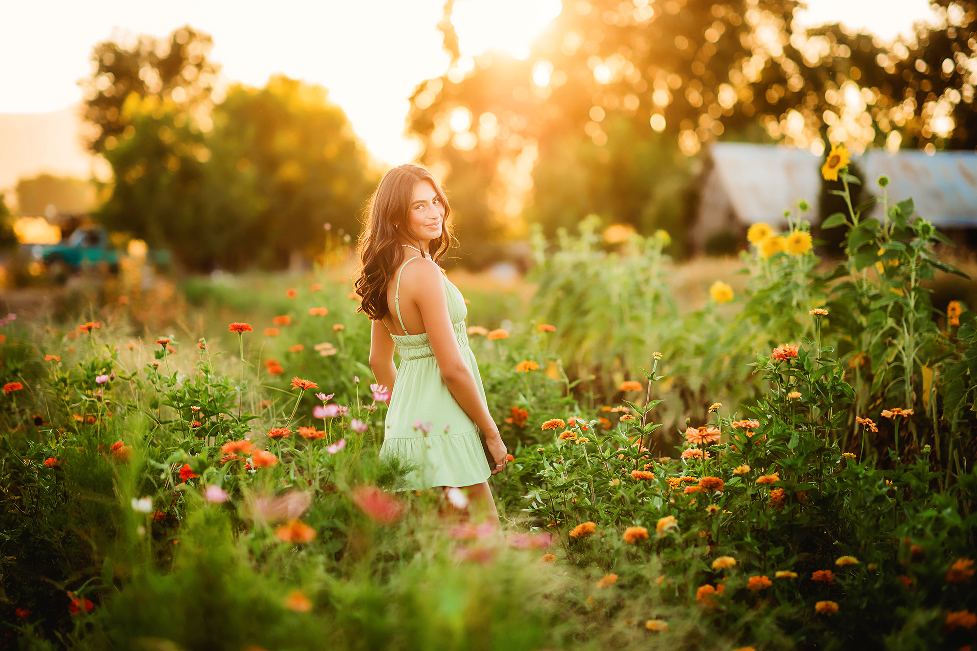 Photos in a garden, blooms, flowers